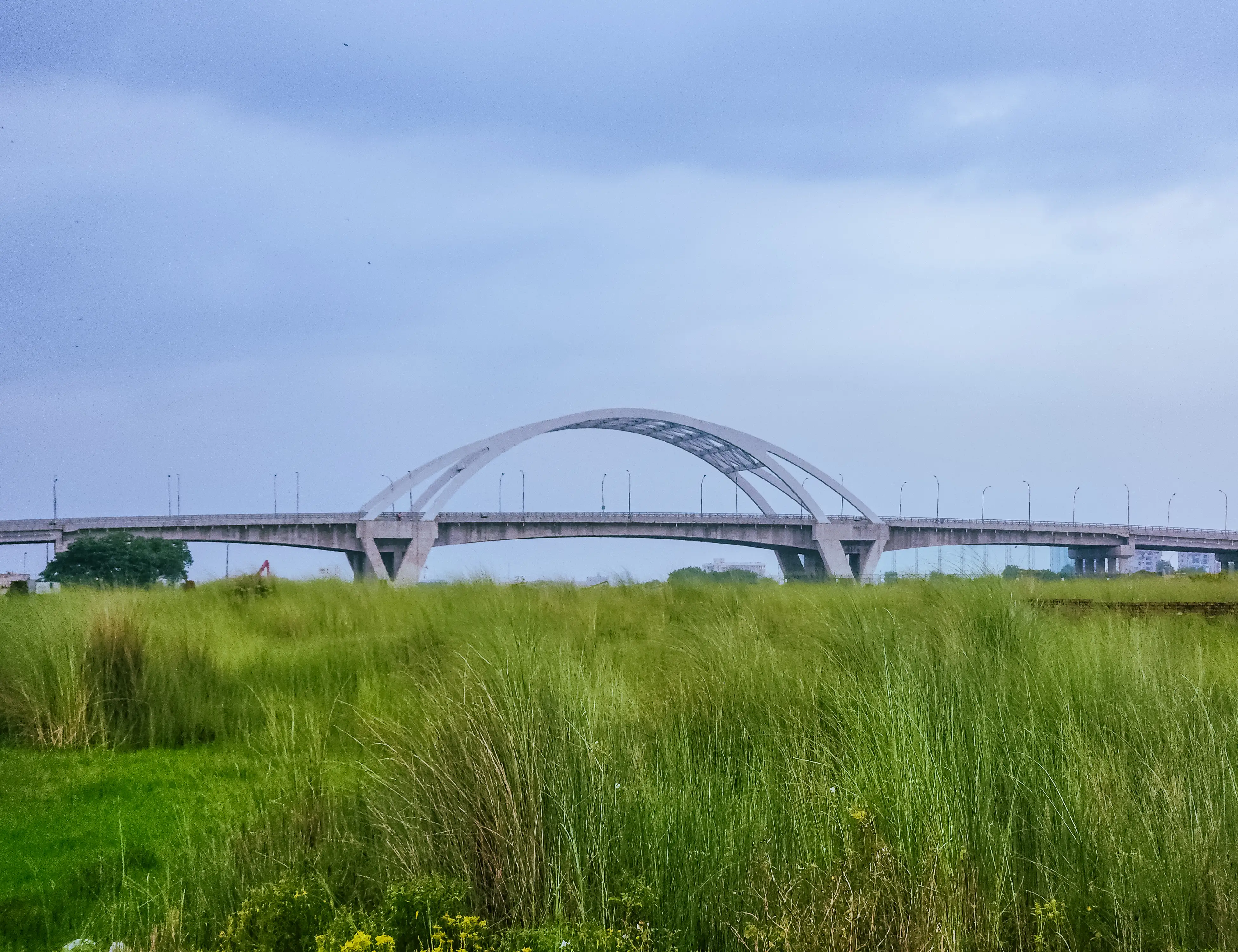 Bridge of Life